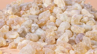 Akgünlük Sakızı Ne İşe Yarar? Kullanımı ve Etkileri