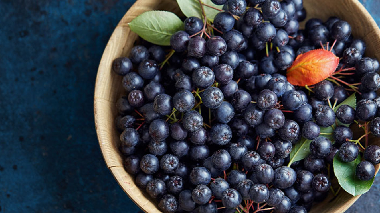 Aronya Nedir? Aronya Meyvesi Faydaları Nelerdir?