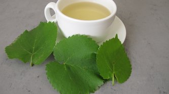 Ayahuasca Nedir? Ayahuasca Çayı Ne İşe Yarar?