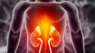 Böbrekte Kum Neden Olur? Kum Dökme Belirtileri Nelerdir?