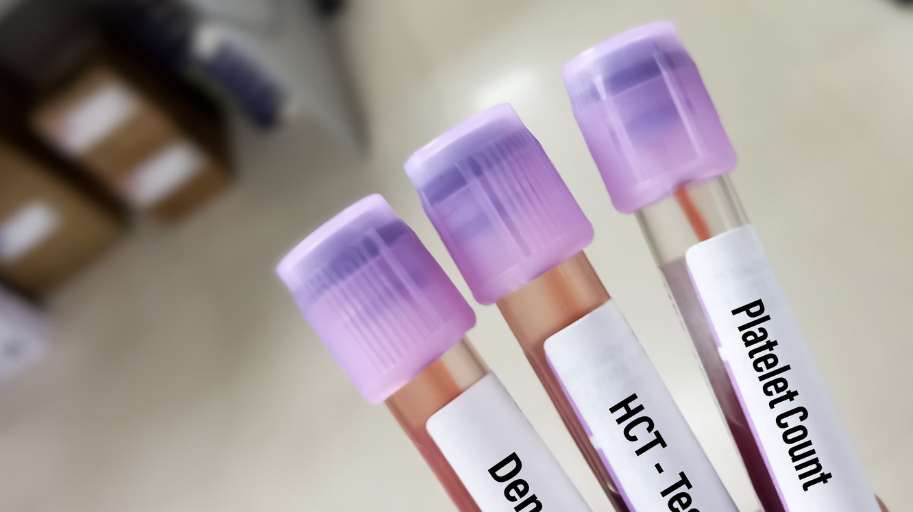 Dengue Ateşi Nedir? Belirtileri ve Korunma Yolları