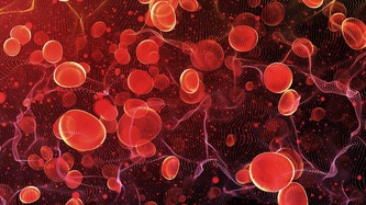 Hematoloji Nedir? Hangi Hastalıkları Kapsar?