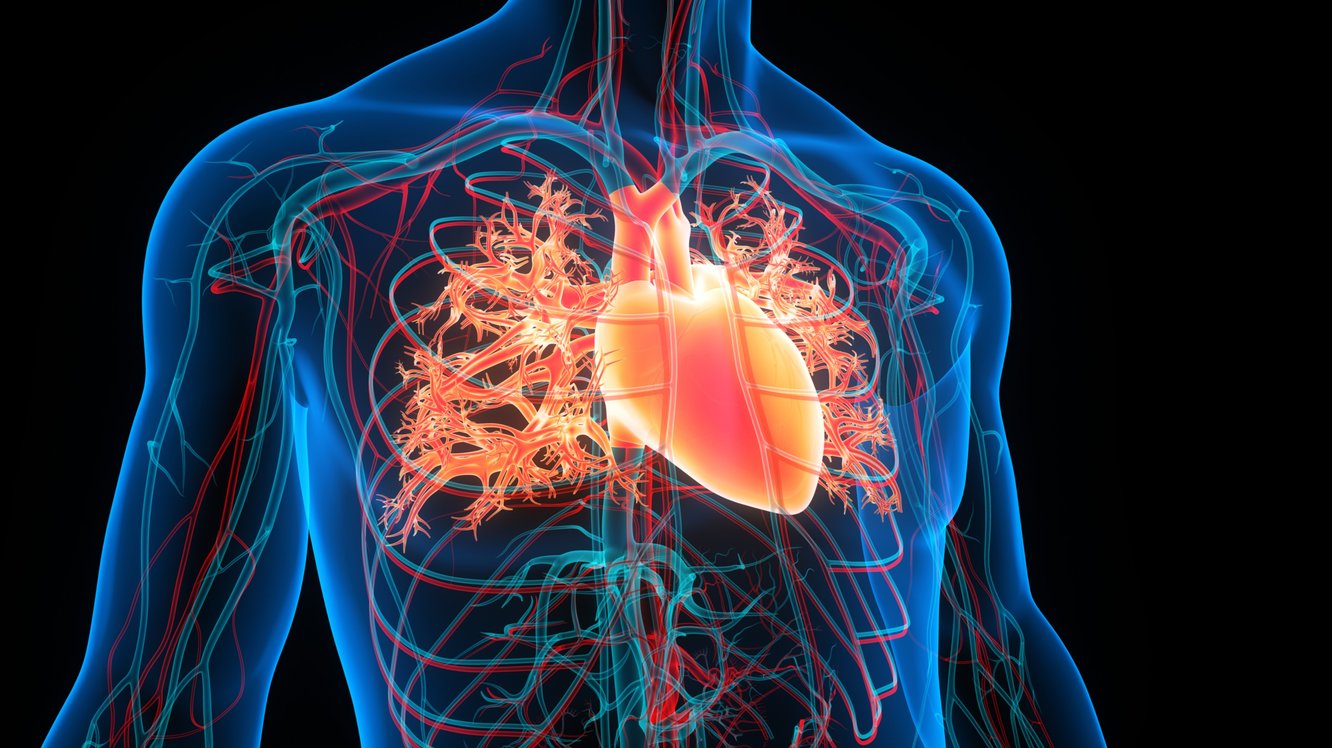 Hipertrofi Nedir? Belirtisi ve Tedavisi