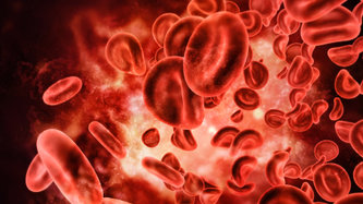 Kan Grupları Nelerdir? Kan Grubu Öğrenmek İçin Ne Yapılır?