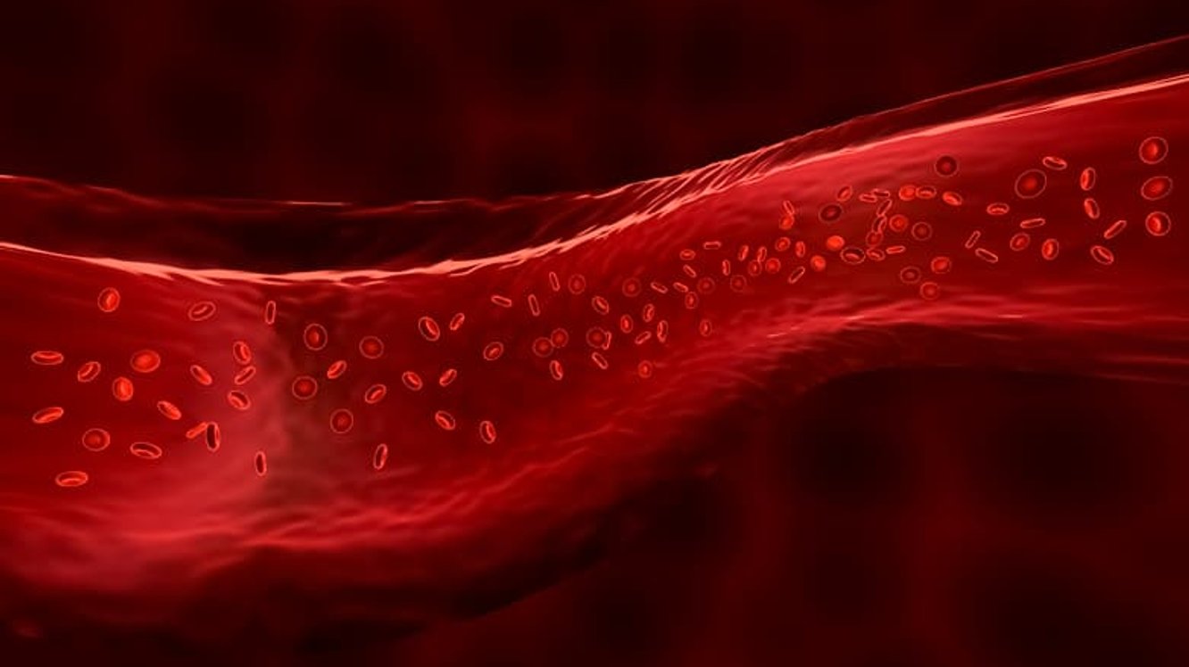 Kan Uyuşmazlığı Nedir? Kan Uyuşmazlığı Nedenleri ve Tedavisi