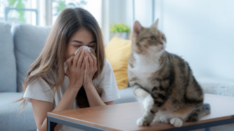 Kedi Alerjisi Nedir?, Nedenleri, Belirtisi ve Tedavisi 