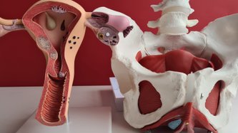 Klitoris Nedir? Klitoris Kaşıntısı Neden Olur?