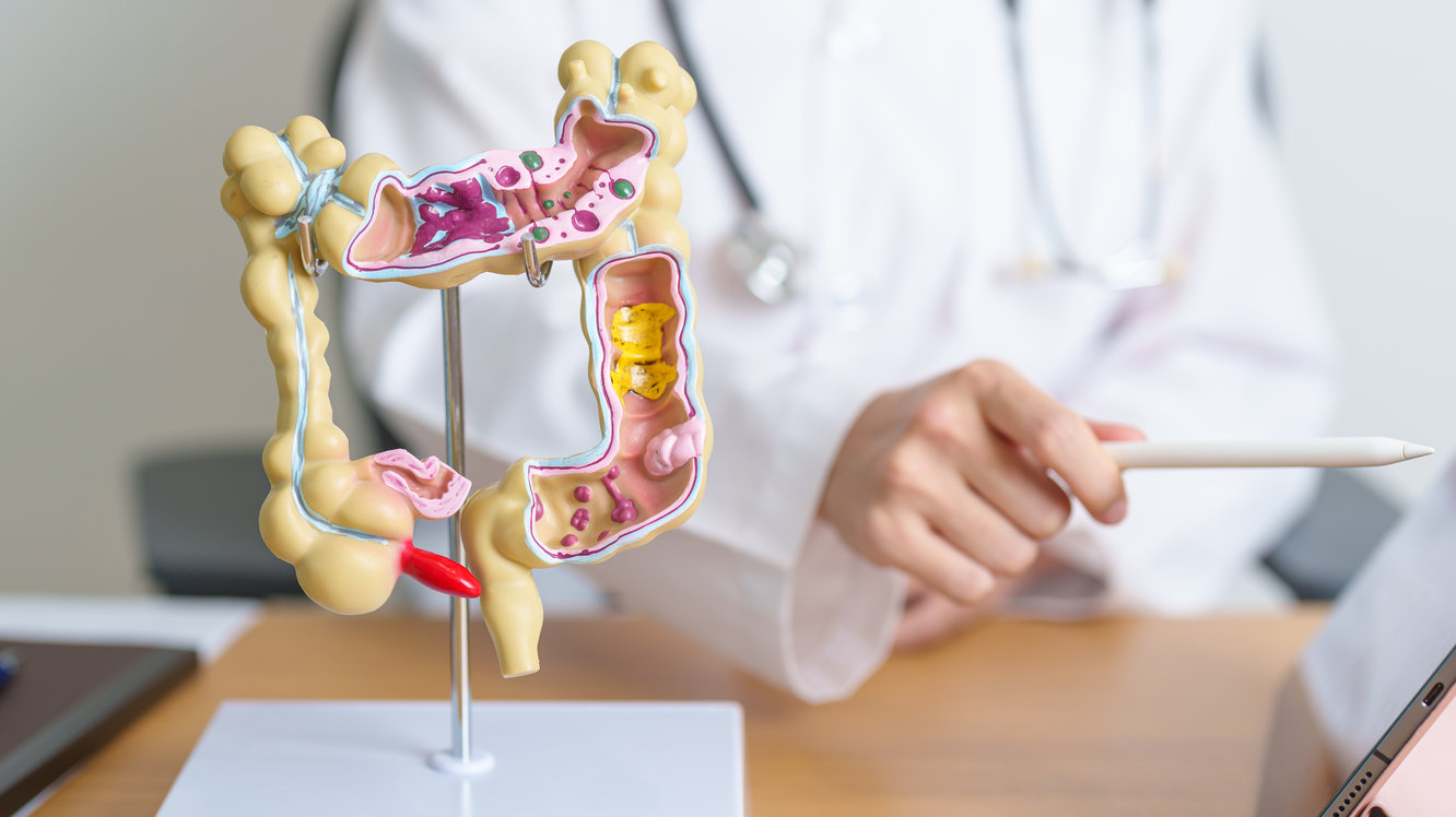 Kolonoskopi Nedir, Nasıl Yapılır? Hazırlık ve Riskler