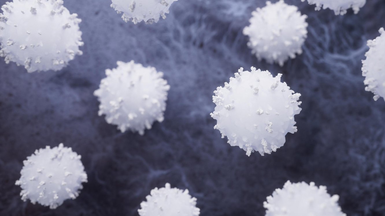 NEU (Nötrofil) Nedir? NEU Yüksekliği ve Düşüklüğü
