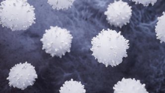 NEU (Nötrofil) Nedir? NEU Yüksekliği ve Düşüklüğü