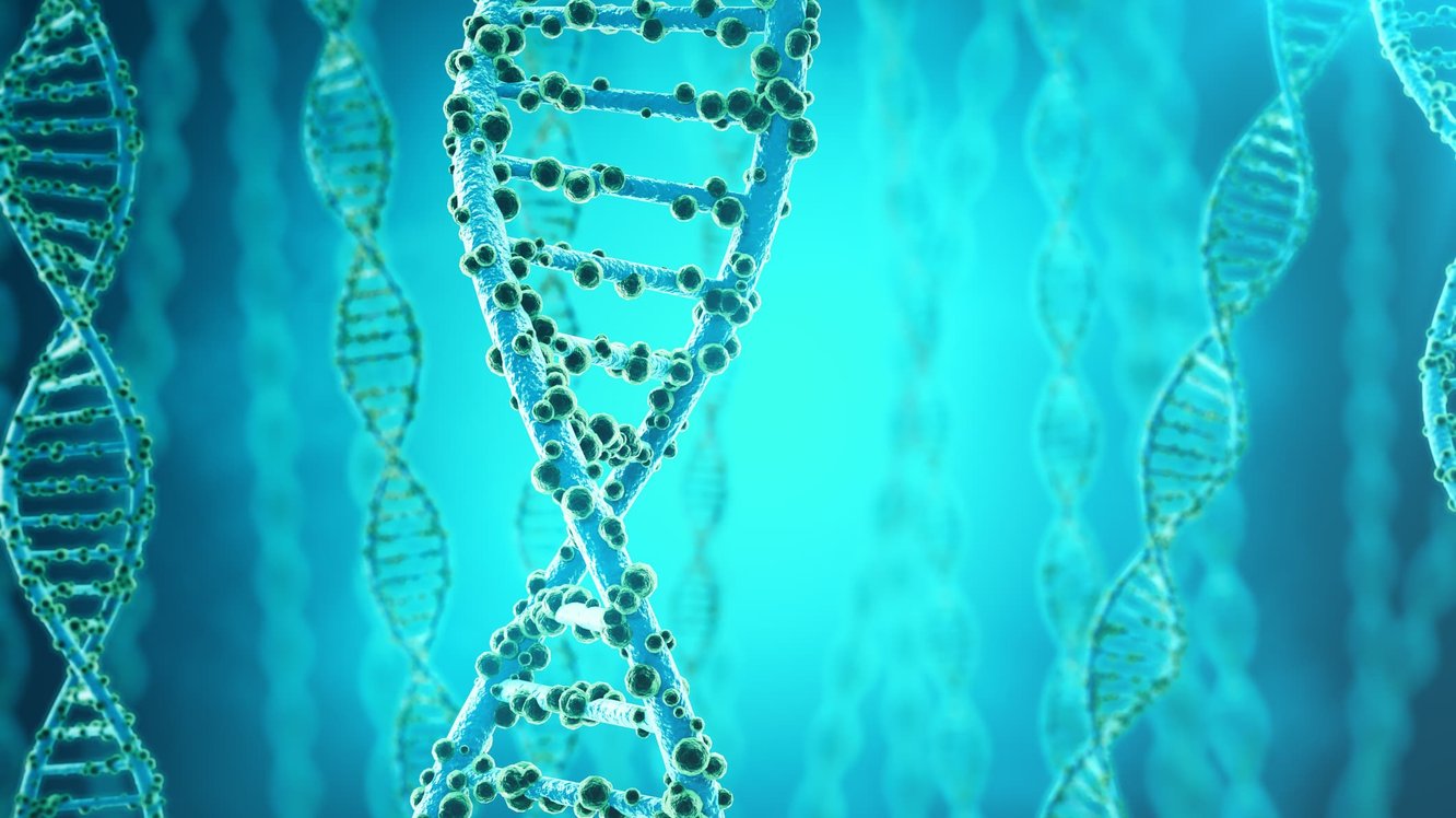 Pycnodysostosis Nedir? Pycnodysostosis Neden Olur, Belirtileri ve Tedavisi