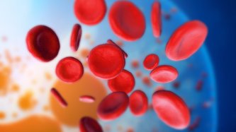 Sepsis Nedir? Sepsis Belirtileri Nelerdir?