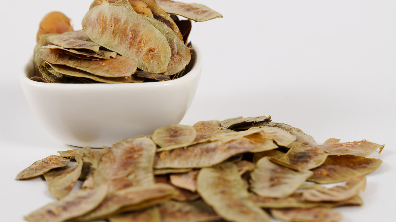 Sinameki Faydaları Nelerdir?