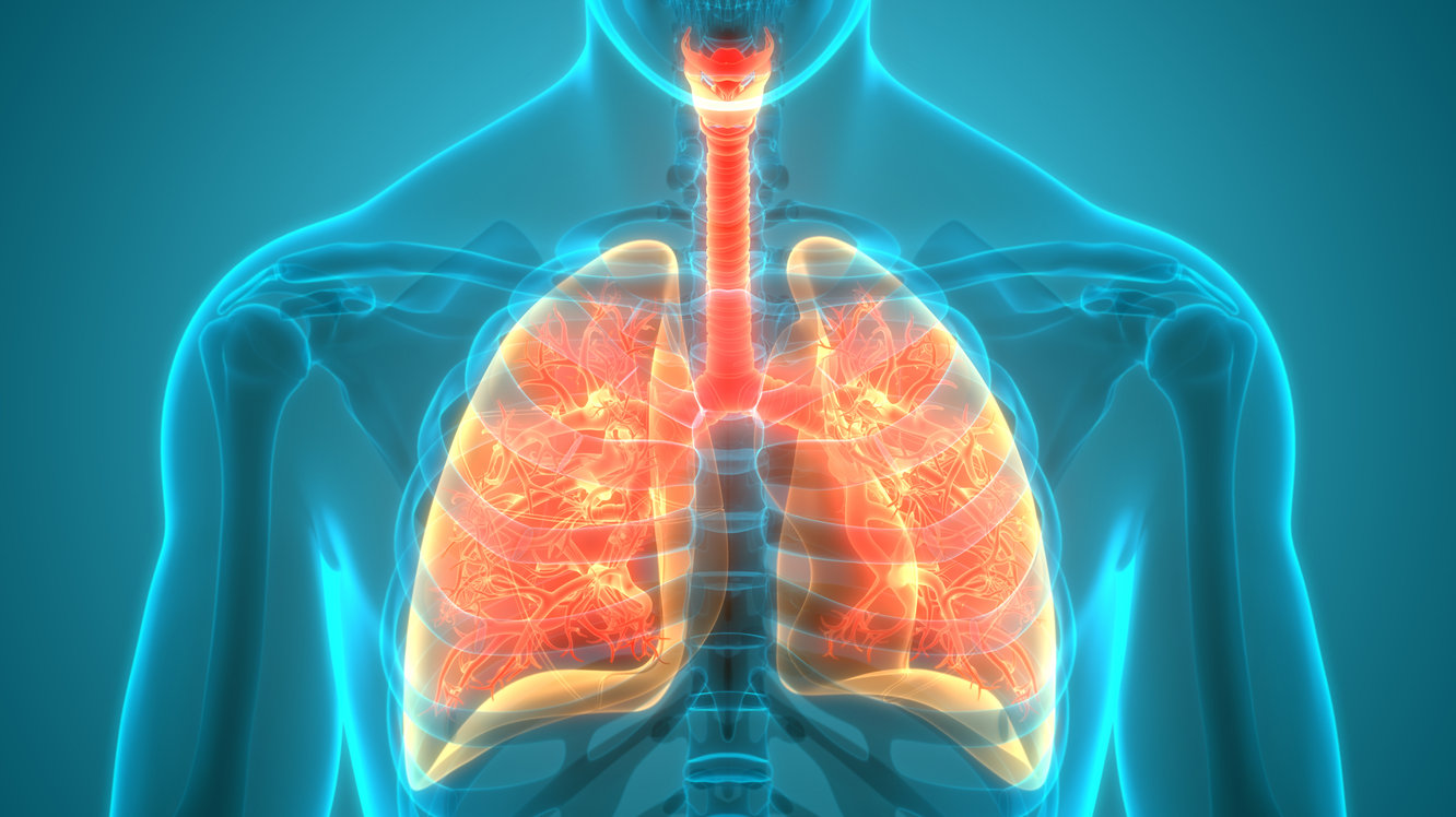 Superior Vena Cava Sendromu Nedir? Belirtisi ve Tedavisi 
