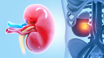 Wilms Tümörü (Nefroblastom) Nedir? Belirtileri ve Tedavisi